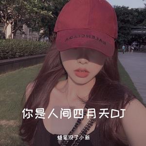 解忧邵帅-你是人间四月天dj（蜡笔没了小新 remix）