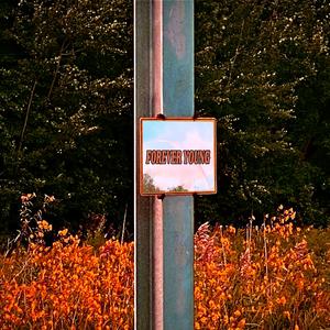 forever young (feat. benten)