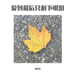 爱到最后只剩下眼泪