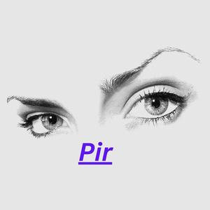 Pir