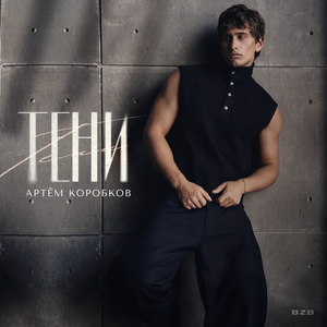 Тени
