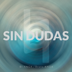 Sin Dudas
