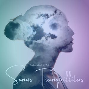 Soulara Bowls 639 Hz