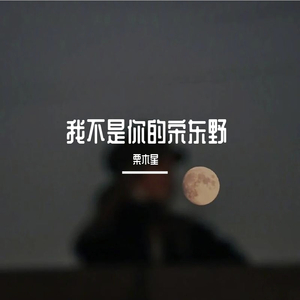 我不是你的宋冬野
