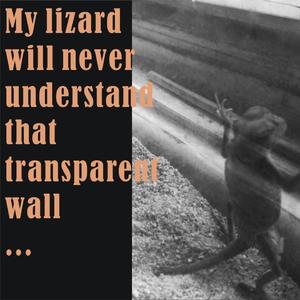 透明墙壁（Prod by Toddmalone）