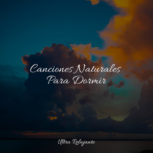 Puerta De Entrada Al Nirvana