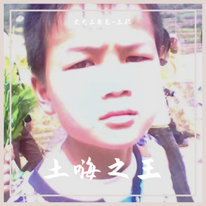 DJ阿聪-文光土嗨之王ProgHouse（王泽栋 remix）