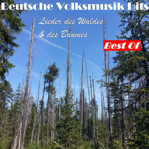 Mädle aus dem schwarzen Wald (Aus der Operette "Schwarzwaldmädel")