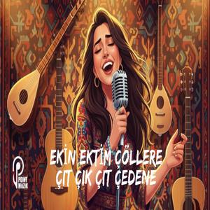 EKİN EKTİM ÇÖLLERE / ÇIT ÇIT ÇIT ÇEDENE