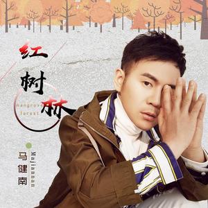 红树林（伴奏）