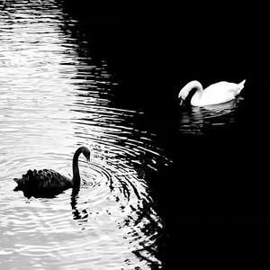 Sunlight【prod by Morrow】