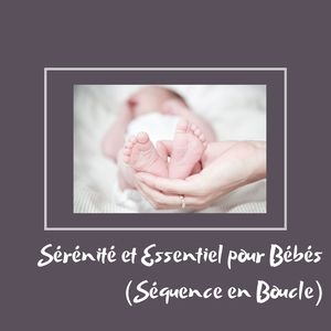 Mélodies Apaisantes Essentielles (Séquence en Boucle)