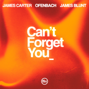 Can’t Forget You (feat. James Blunt) [Extended Mix]