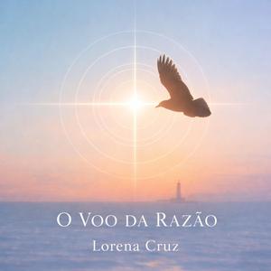 O VOO DA RAZÃO