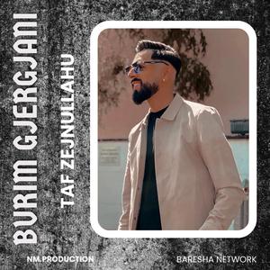 Hit per Taf Zejnullahun