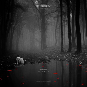 Self Appointed Guardians of the Multitude (Original Mix)