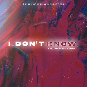 I Don't Know (feat. Brandon Chase)