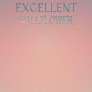 Excellent Wallflower