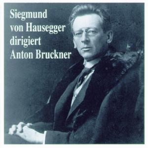 Symphonie Nr.9 in D-Moll, 2.Satz - Scherzo & Trio