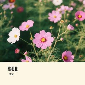 格桑花 (Cover 陳鴨梨Charlie)