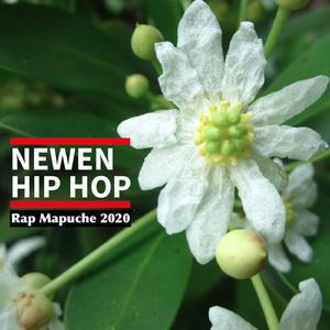 Rap Mapuche 2020