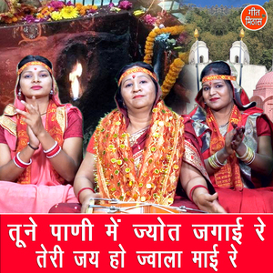 Tune Pani Mein Jyot Jagayi Re Teri Jai Ho Jawala Mayi Re
