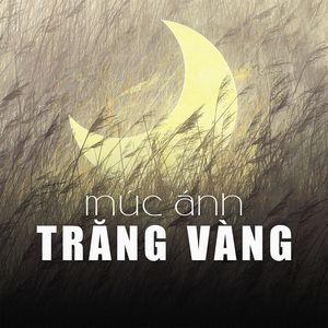 Múc Ánh Trăng Vàng