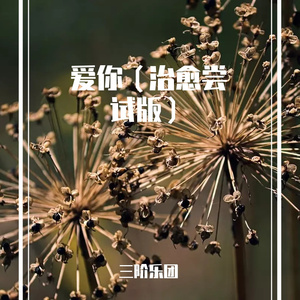 爱你（治愈版）