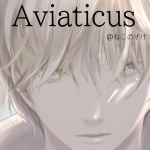 Aviaticus