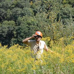 Monophonic Love Song