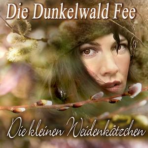 Die Kleinen Weidenkätzchen