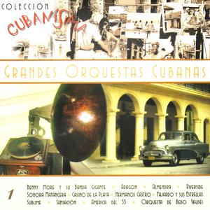 Los Tamalitos de Olga