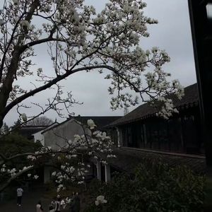 青春狂想曲