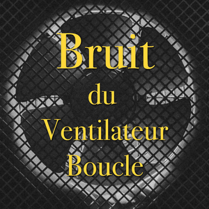 Ventilateur de climatiseur boucle