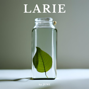Larie