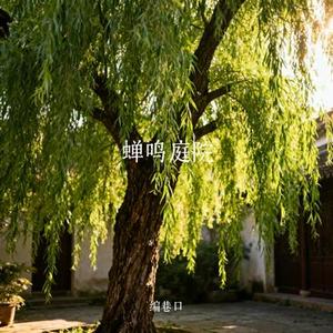 蝉鸣庭院