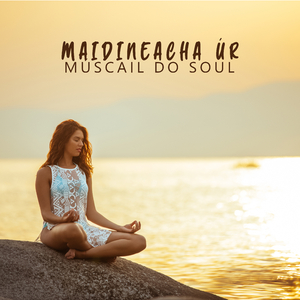 Fuinneamh a Threisiú