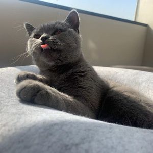 幸福的勇气 prod.Furyl