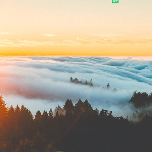 Morning Jam (Feat. Curt Henderson)