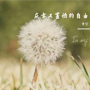 庆幸又害怕的自由