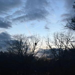 skyisthelimit (feat. JESS BESS)