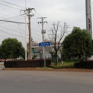 藏龙岛湖经杨桥湖大道不值一提的日子里