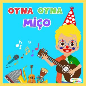 Miço Nerden Gelirsin