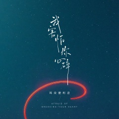 我害怕你心碎