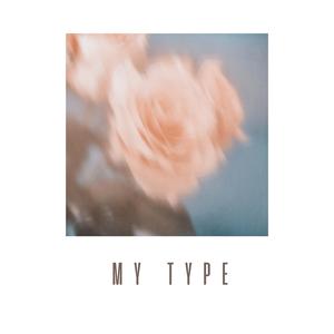 My Type (feat. Kenny Lost)