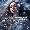 Chris Decay - Winter Dreams