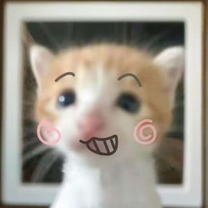 岁岁年年皆如愿