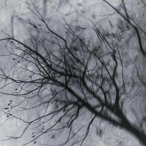 撒野（低沉男声）（翻自 欸–61）