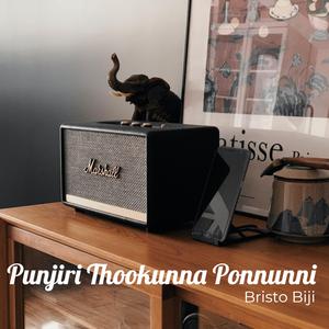 Punjiri Thookunna Ponnunni
