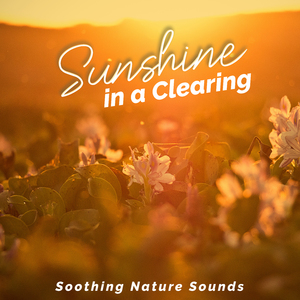 Blue Lake and Evergreen